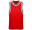 Chicago Bulls